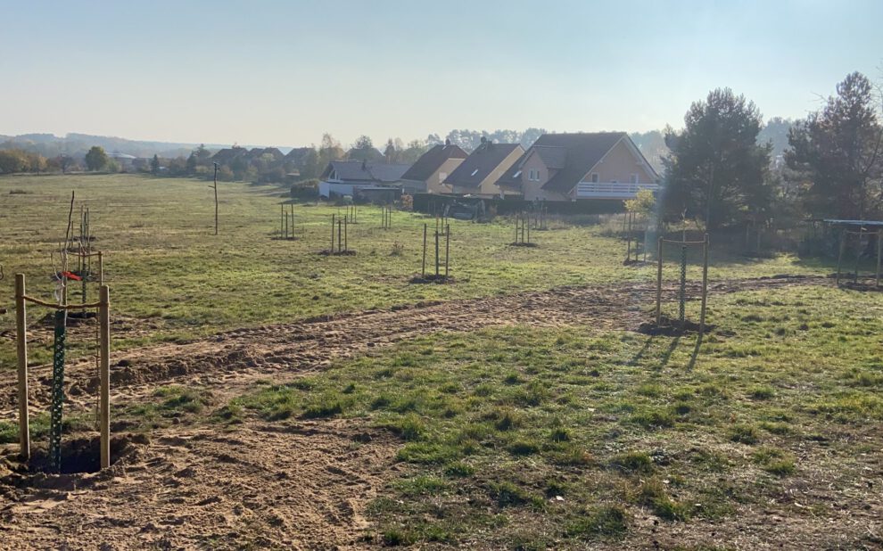 HeilOrt Bad Belzig